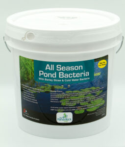 all season pond bacteria