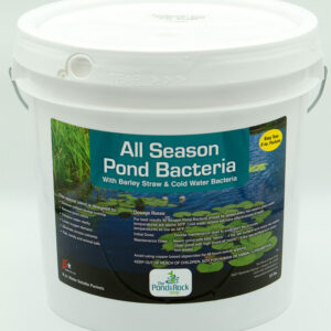 all season pond bacteria